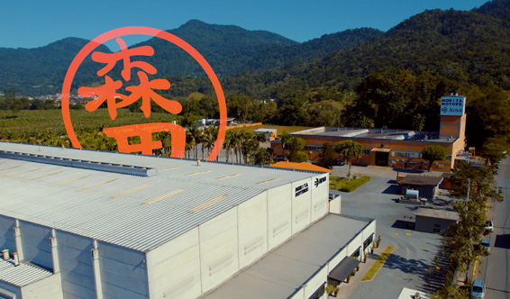 Morita Motors